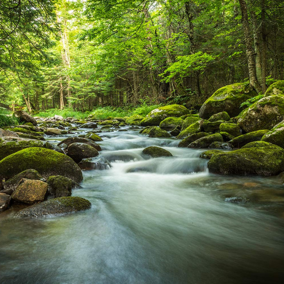 Meet your Posher, Mountain - Picture 4 of 8